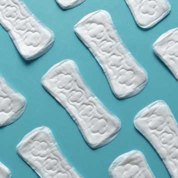 You are currently viewing Padsicles