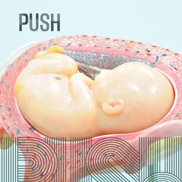 You are currently viewing How to Optimize Baby Positioning: Understanding Breech Babies