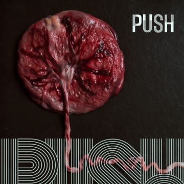 You are currently viewing The Placenta: Understanding the Lifeline of Pregnancy