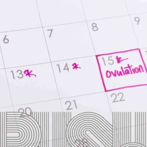 Read more about the article Enhancing Your Fertility Journey: Embrace Holistic Wellness