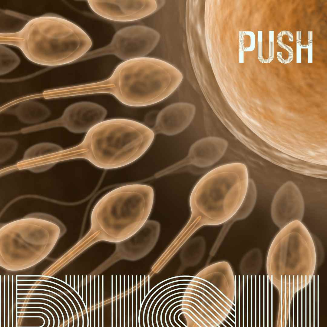 You are currently viewing Acupuncture for Sperm Motility