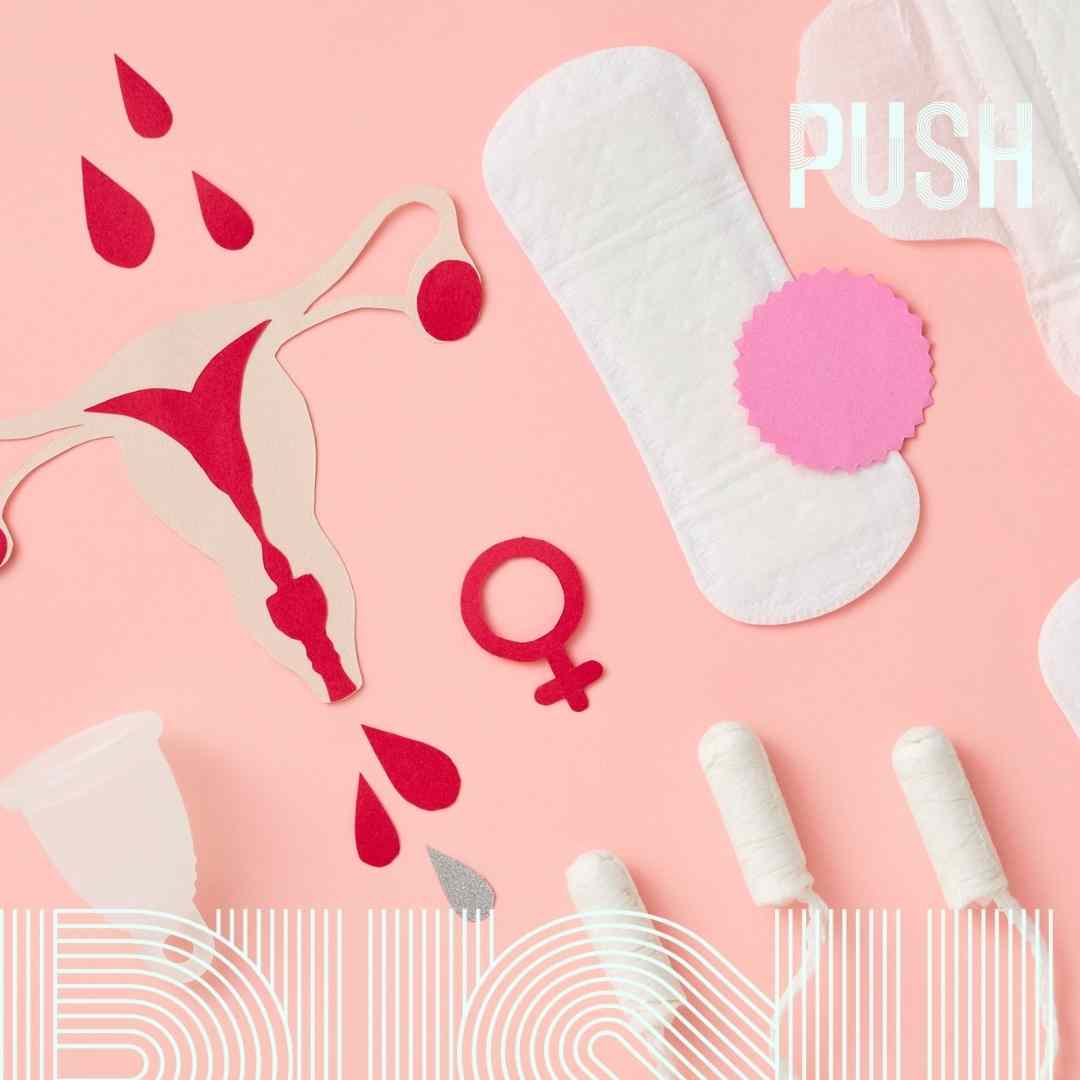 You are currently viewing Understanding the Menstrual Cycle